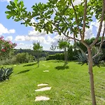 Villa Di Sopra Momjan